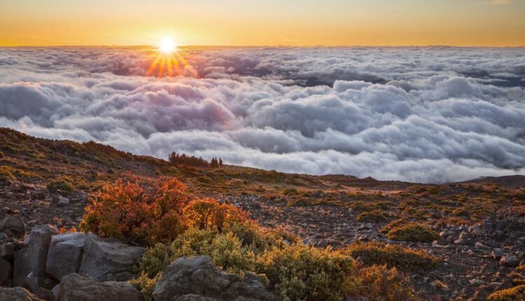 سری پانزدهم والپیپر های متنوع با کیفیت   Beautiful Wallpapers