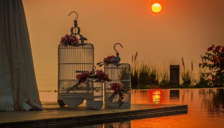 سری پانزدهم والپیپر های متنوع با کیفیت   Beautiful Wallpapers