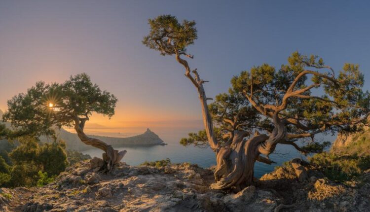 عکس زمینه 4K