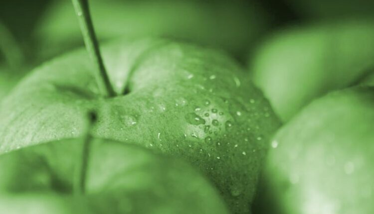 عکس زمینه سیب