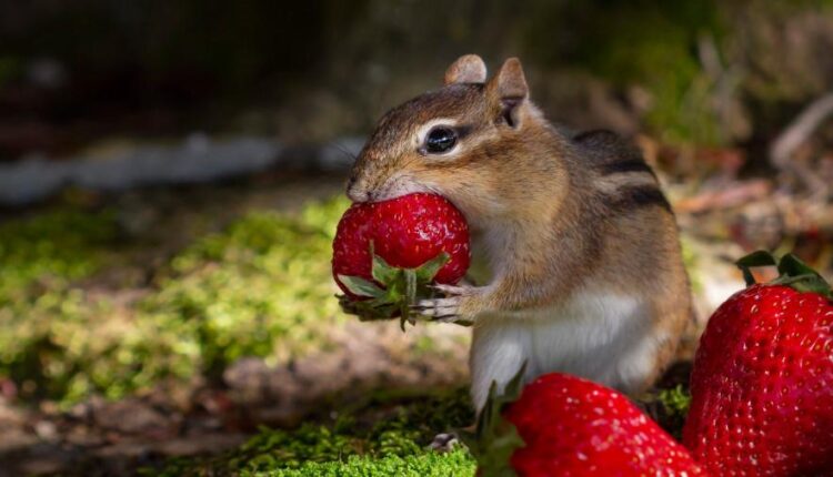 تصویر زمینه باحال