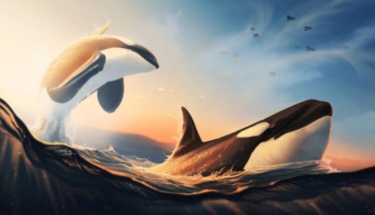 تصویر زمینه 4k