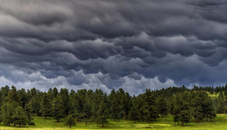 تصویر زمینه زیبا