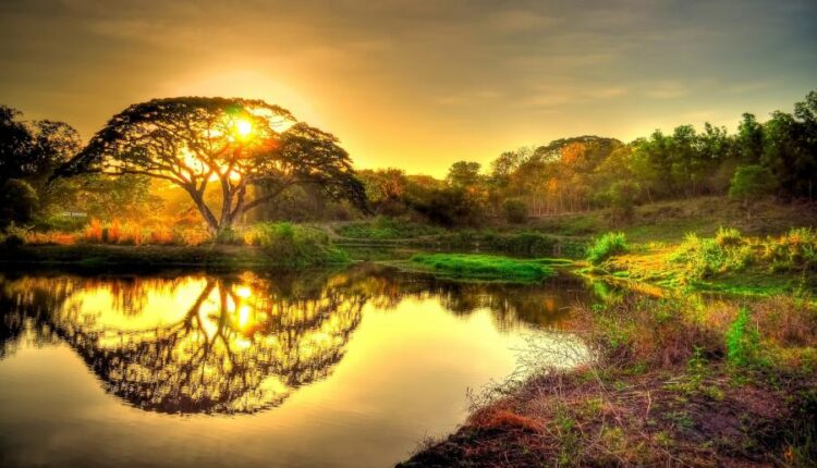 عکس زمینه غروب