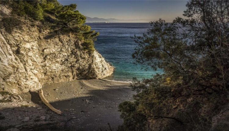 تصویر زمینه طبیعت