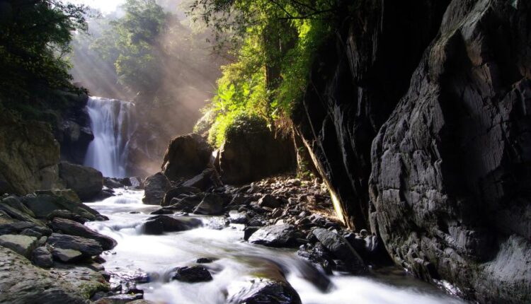 پس زمینه گوشی