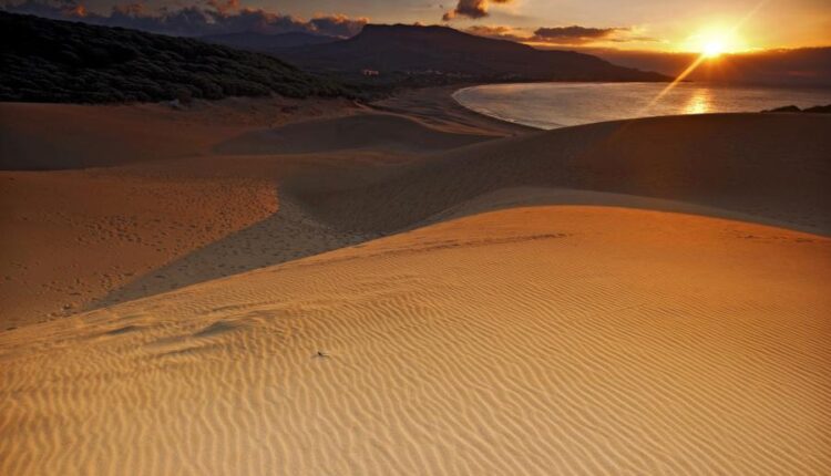 بک گراند بیابان