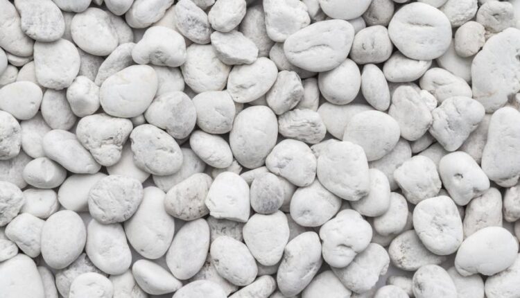 عکس پس زمینه شیک