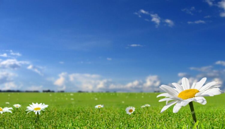 پس زمینه طبیعت