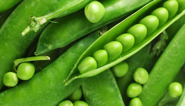 پس زمینه با کیفیت بالا