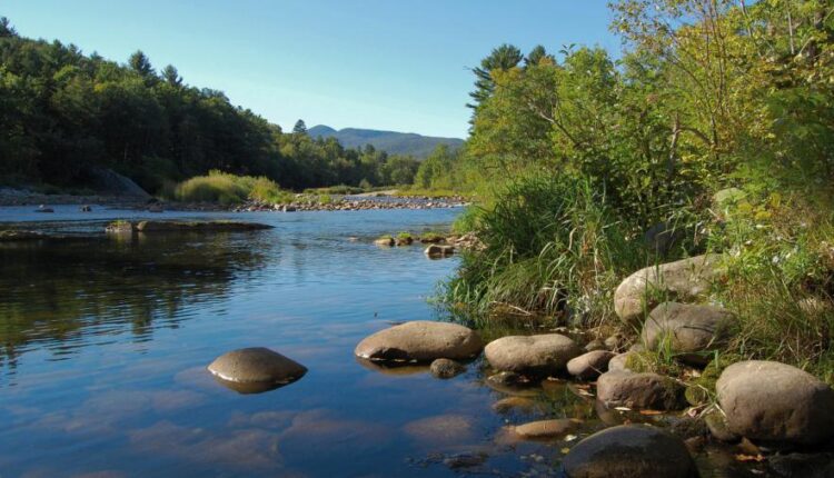 تصویر زمینه طبیعت