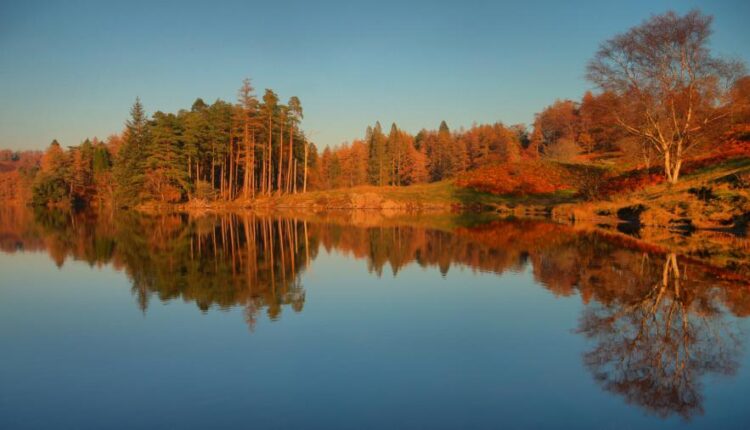 تصویر زمینه طبیعت