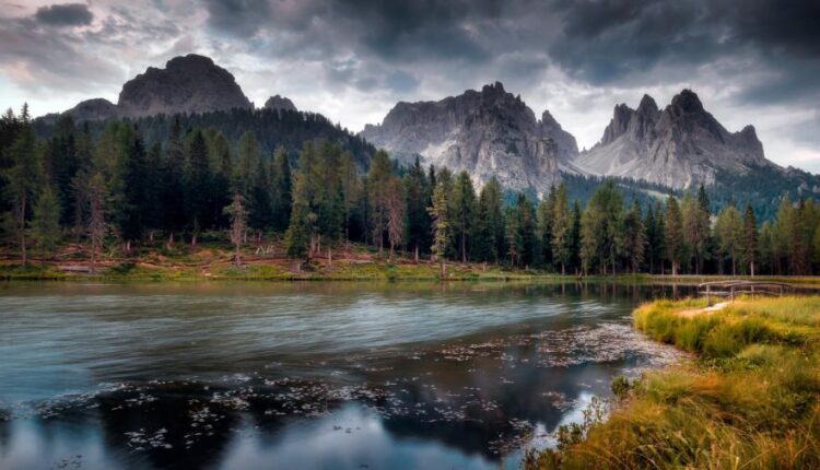 تصویر زمینه سامسونگ