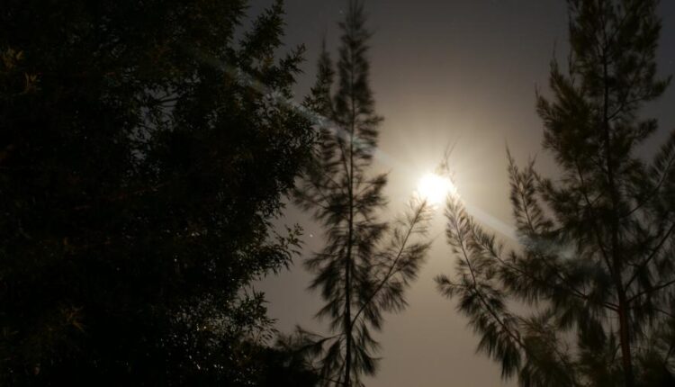 سری بیست و دوم تصویر زمینه های متنوع با کیفیت   Wallpapers