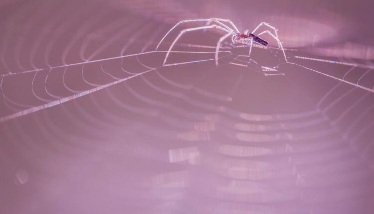 بک گراند کامپیوتر