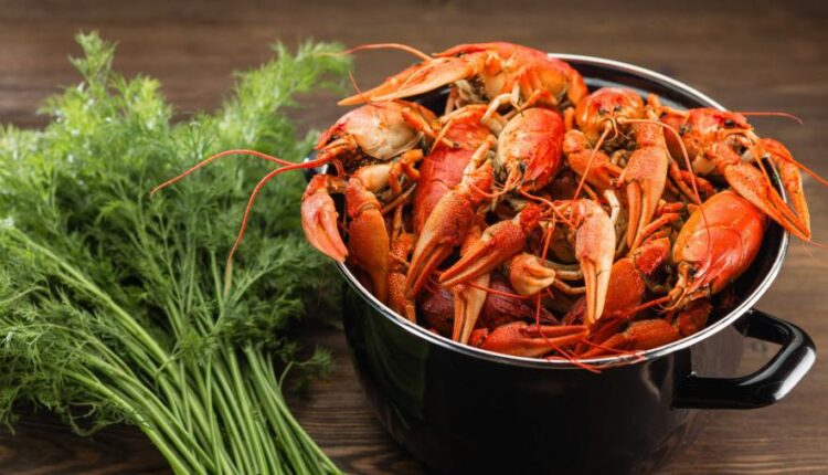 بک گراند با کیفیت