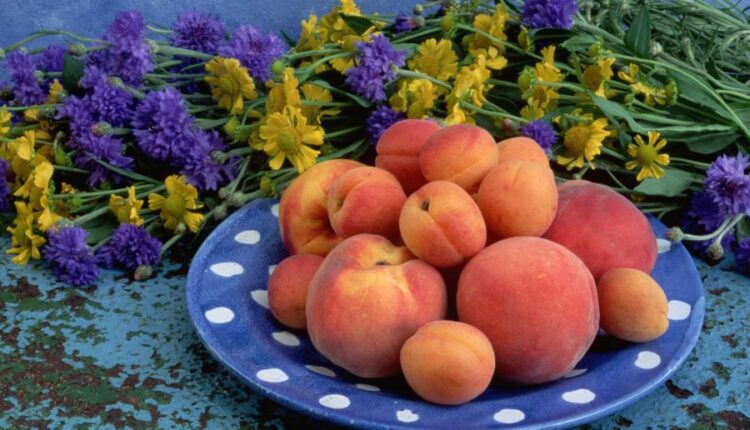 تصویر زمینه میوه ها