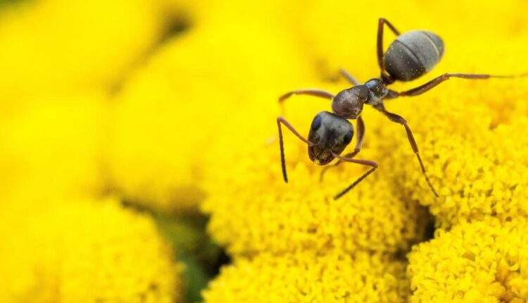 سری بیست و سوم پس زمینه های متنوع با کیفیت   Wallpapers