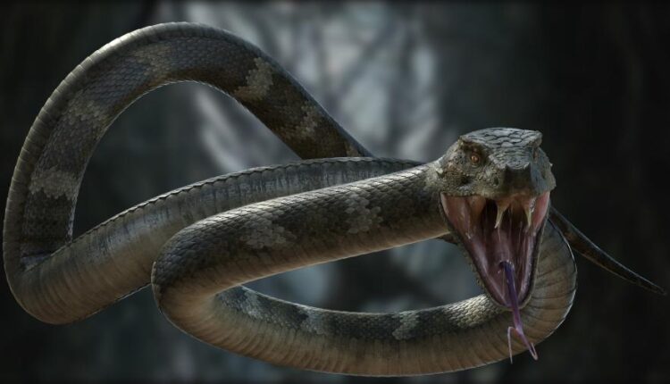 سری بیست و سوم پس زمینه های متنوع با کیفیت   Wallpapers