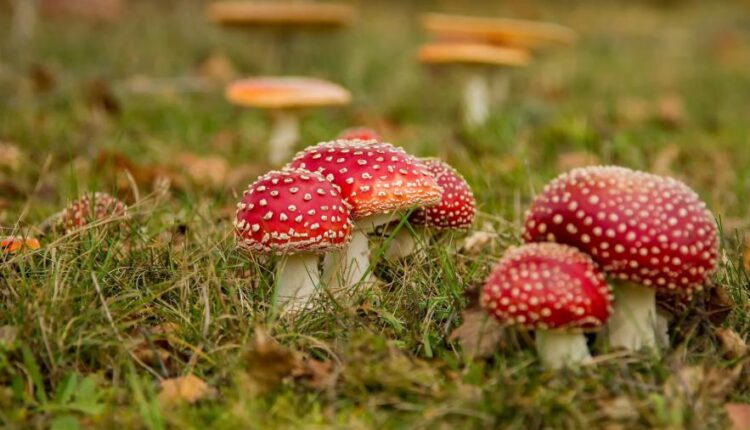 تصویر زمینه 4K