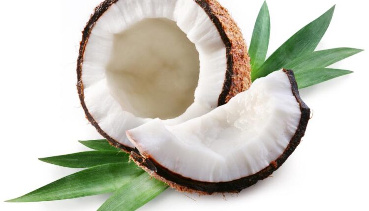 عکس استوک نارگیل   Coconut and milk tropical