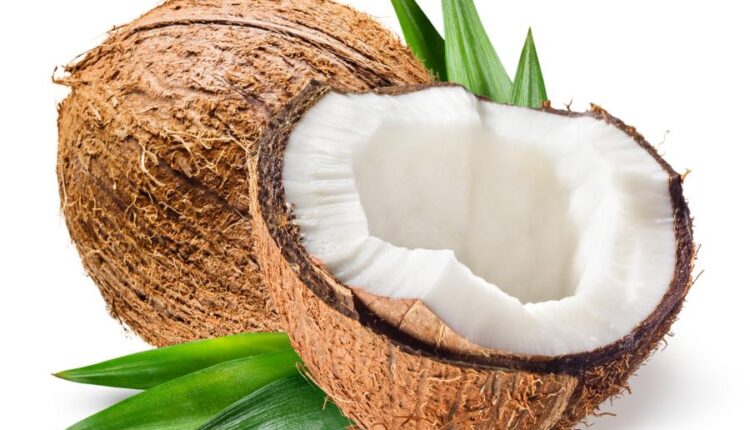 عکس استوک نارگیل   Coconut and milk tropical