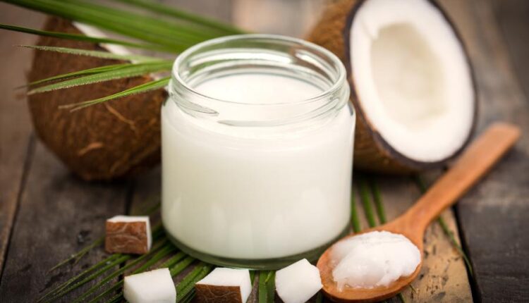 عکس استوک نارگیل   Coconut and milk tropical