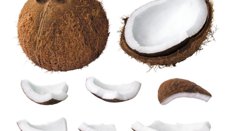 عکس استوک نارگیل   Coconut and milk tropical