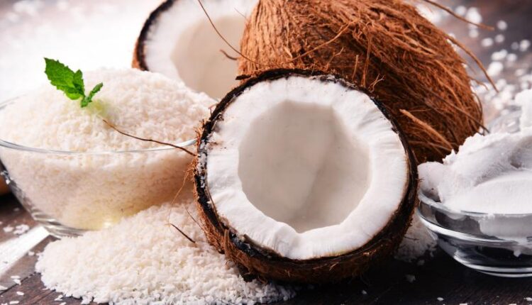 عکس استوک نارگیل   Coconut and milk tropical