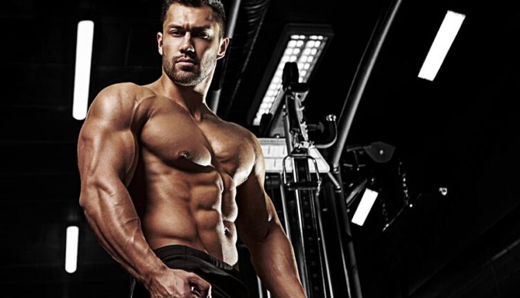 عکس استوک بدنسازی   Bodybuilder in the gym