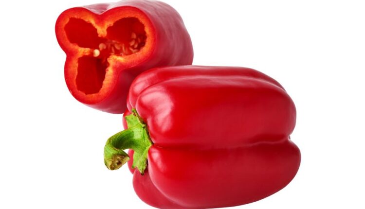 تصاویر استوک فلفل دلمه ای قرمز   Photo Bell Pepper
