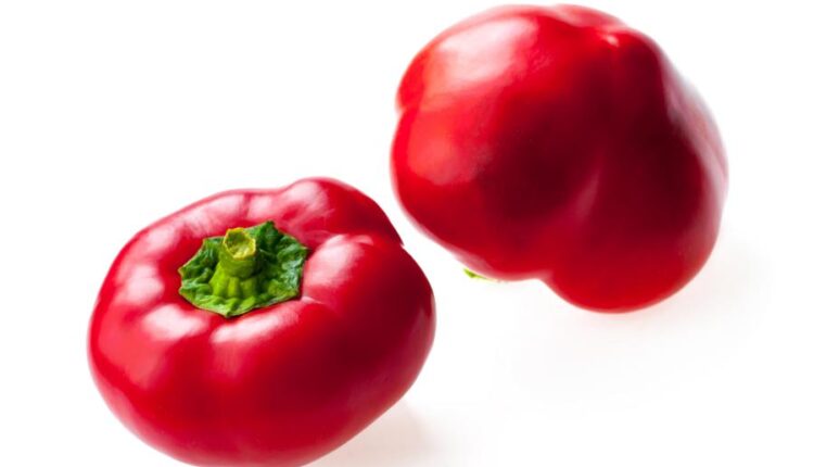 تصاویر استوک فلفل دلمه ای قرمز   Photo Bell Pepper