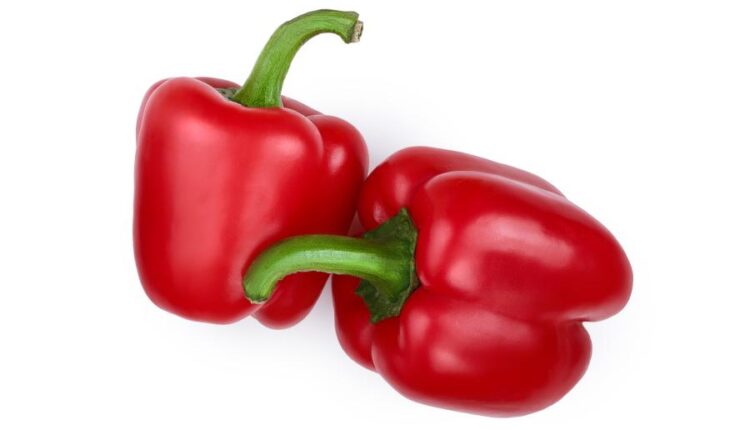 تصاویر استوک فلفل دلمه ای قرمز   Photo Bell Pepper