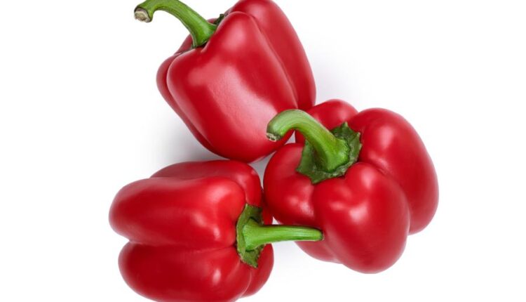 تصاویر استوک فلفل دلمه ای قرمز   Photo Bell Pepper