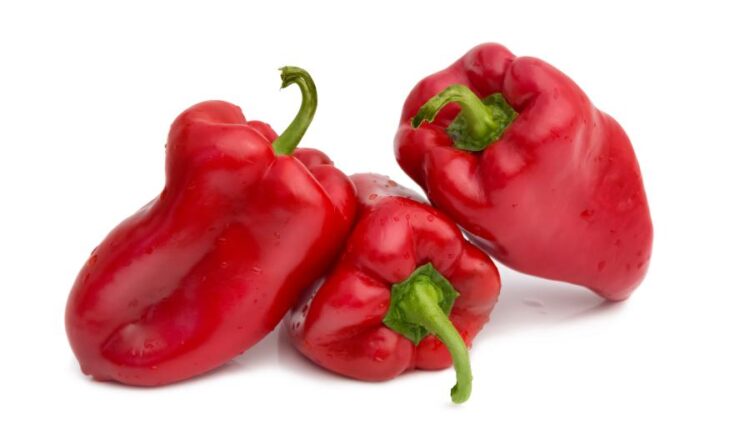 تصاویر استوک فلفل دلمه ای قرمز   Photo Bell Pepper