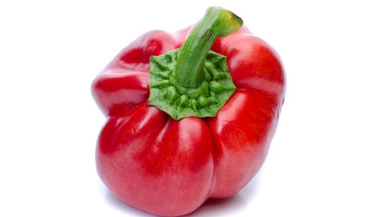 تصاویر استوک فلفل دلمه ای قرمز   Photo Bell Pepper
