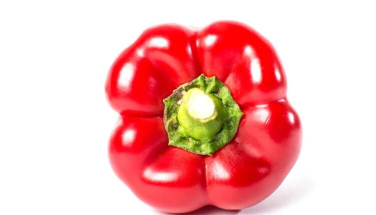تصاویر استوک فلفل دلمه ای قرمز   Photo Bell Pepper