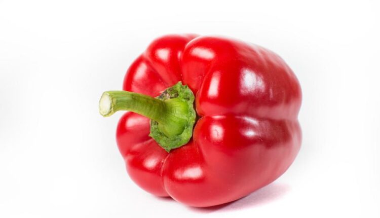 تصاویر استوک فلفل دلمه ای قرمز   Photo Bell Pepper