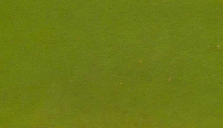 30 تکسچر کاغذ   Vintage Paper Textures