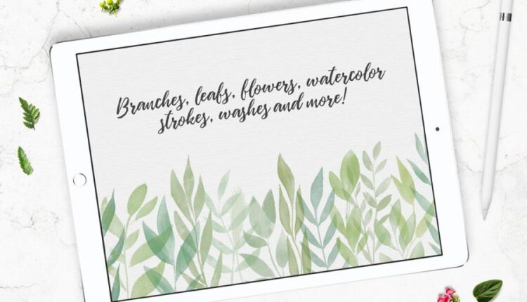 244 براش گل و برگ های آبرنگی   Watercolor Brushes