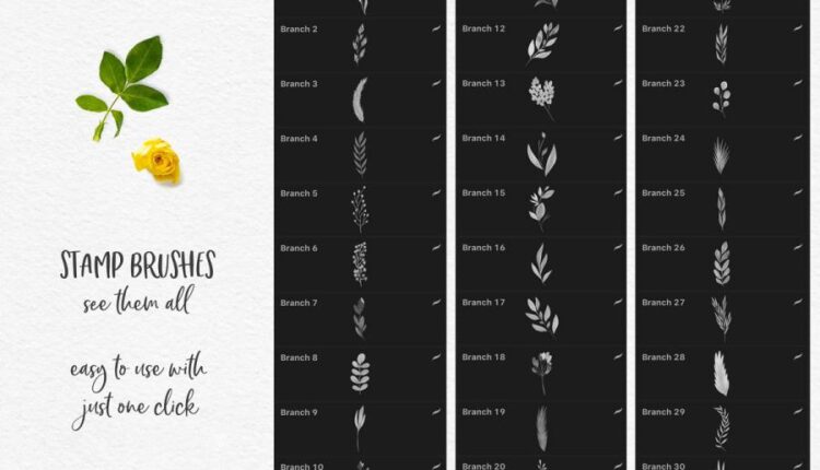 244 براش گل و برگ های آبرنگی   Watercolor Brushes