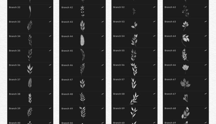 244 براش گل و برگ های آبرنگی   Watercolor Brushes