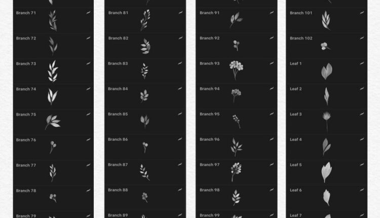 244 براش گل و برگ های آبرنگی   Watercolor Brushes