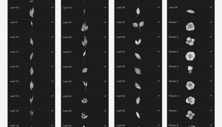 244 براش گل و برگ های آبرنگی   Watercolor Brushes