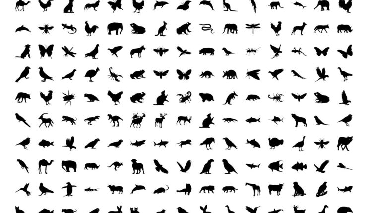 وکتور سایه حیوانات و پرندگان   Animals And Birds Silhouette