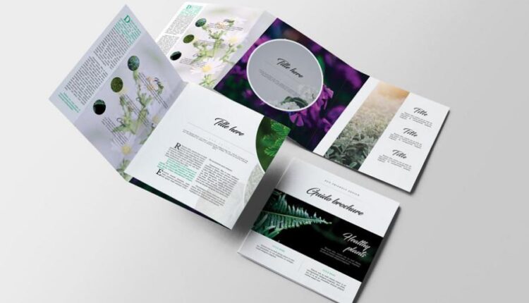 فایل لایه باز بروشور مربعی   Guido Square Brochure