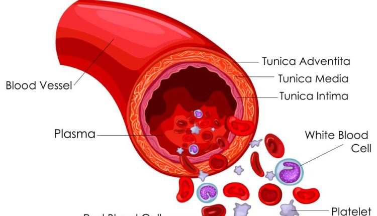 وکتور های کاربردی بدن انسان   Medical Education of Biology
