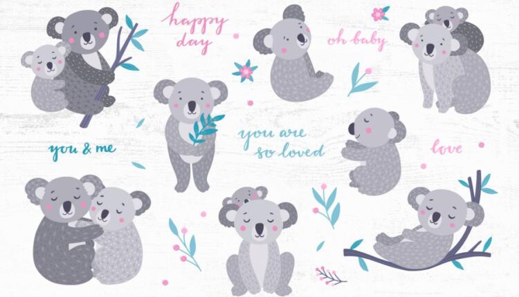 تصویر سازی خانواده کوالا   Koala Family Illustrations