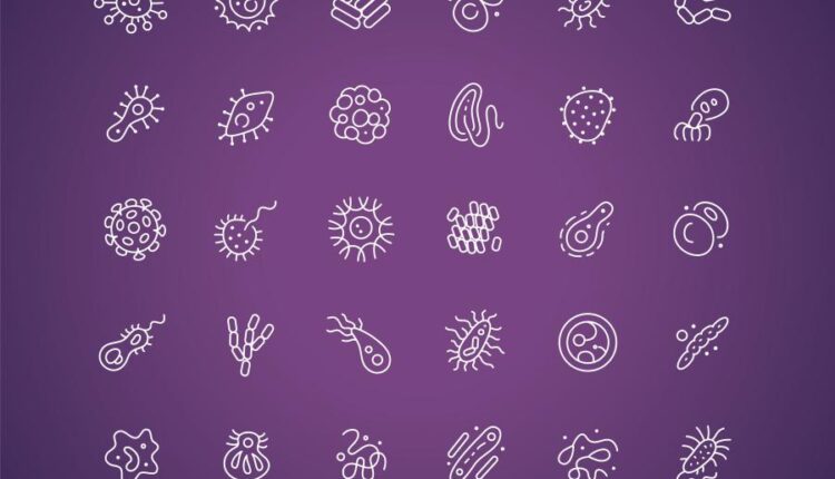 مجموعه کامل و کاربردی آیکون   Icons Collection