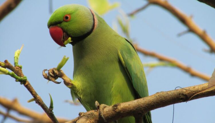 سری بیست و ششم پس زمینه های با کیفیت 4K